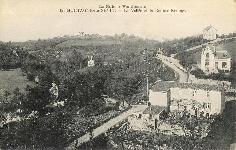 Mortagne-sur-Sevre_la_vallee_et_la_route_d-Evrunes.jpg